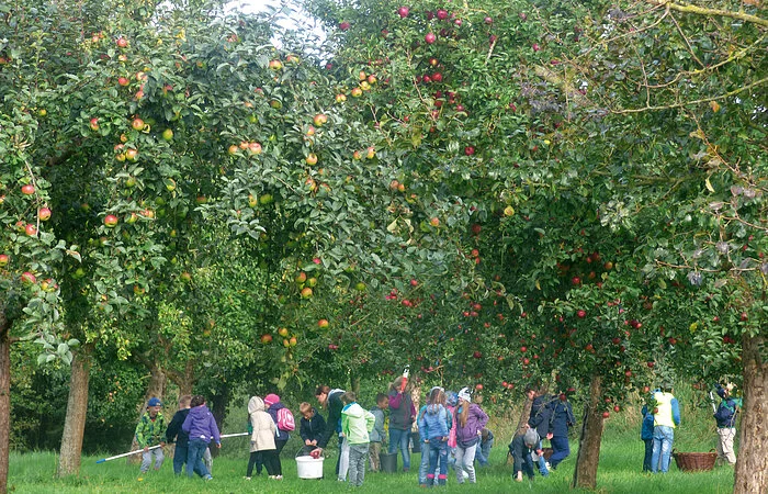 Bio-Apfelsäfte der LuisenGärten